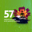 57 Nature Sounds and Peaceful Sleep cover