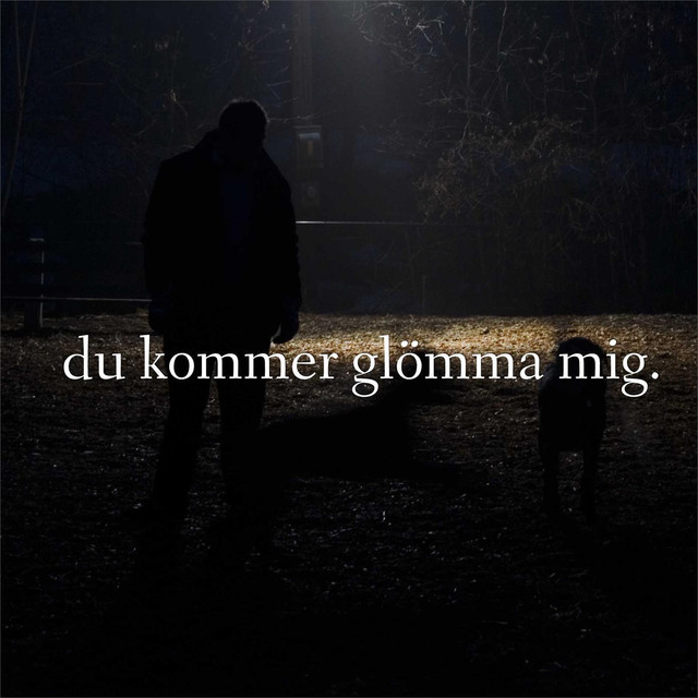 Domarringen Photo
