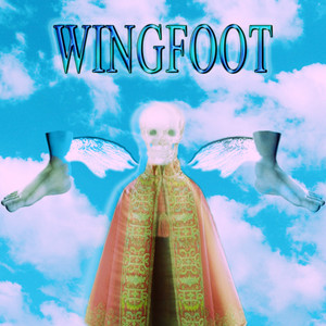 Wingfoot cover