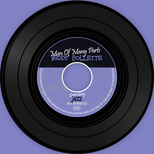 The Vinyl Masters: Man Of Many Parts cover