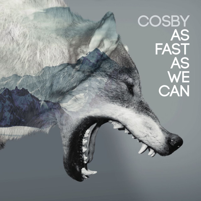 As Fast as We Can cover art