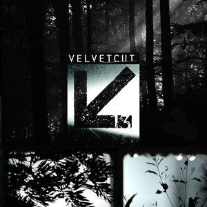 Thirteen Albumcover
