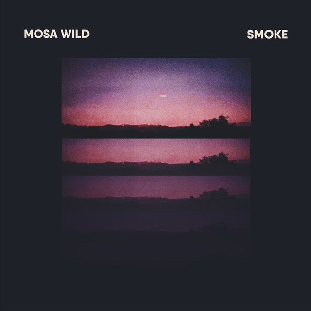 Smoke cover