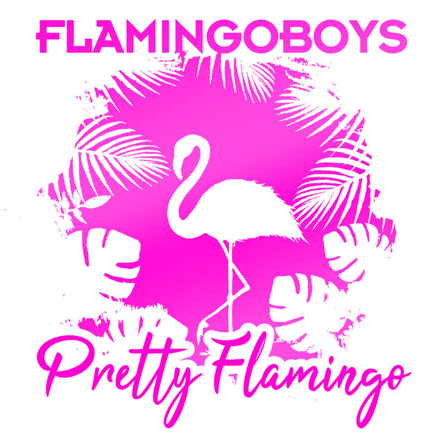 Flamingoboys Photo