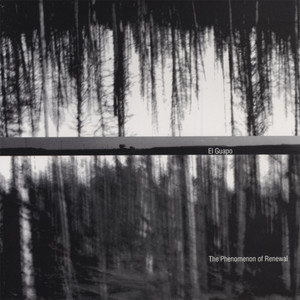 The Phenomenon of Renewal cover