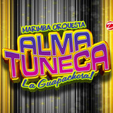 Marimba Orquesta Alma Tuneca profile