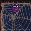 Spider Dreams cover