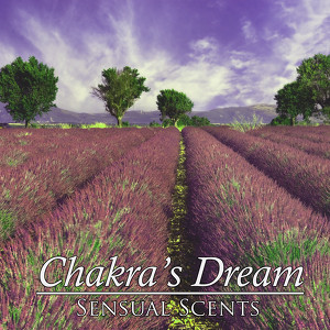 Sensual Scents Albumcover