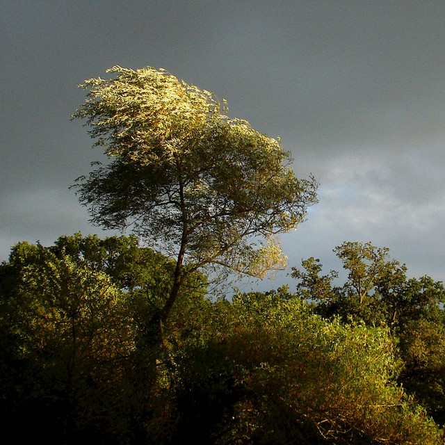 Ambiance Photo