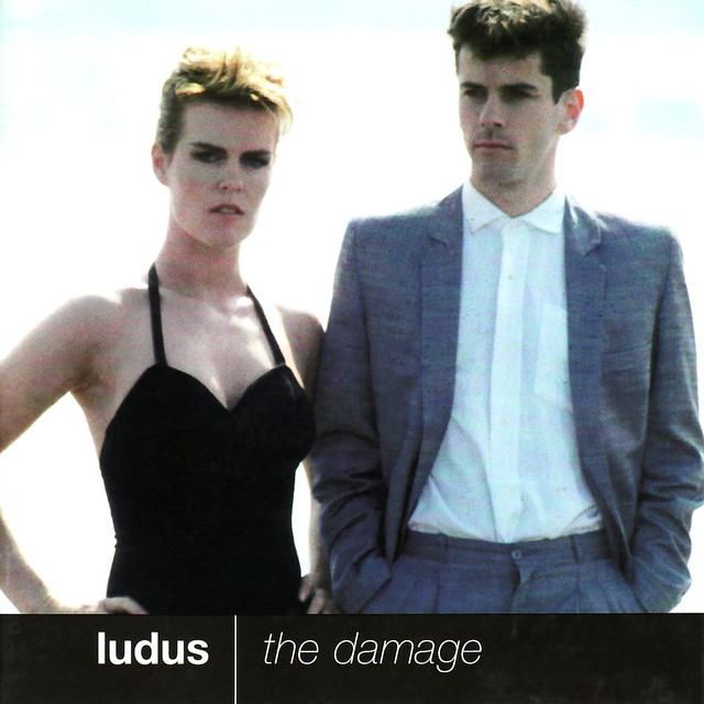 The Damage cover