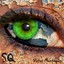 SQ Albumcover