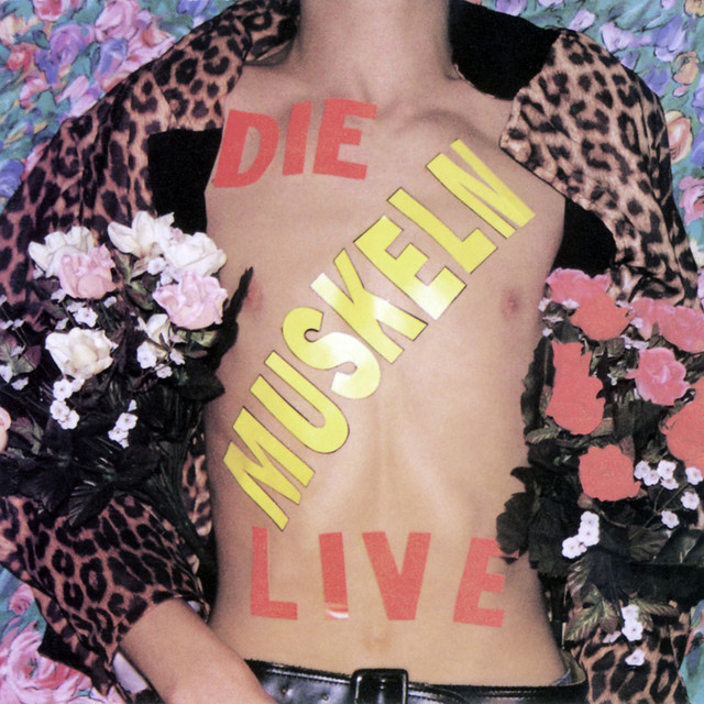 Die Muskeln Photo