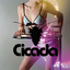 Cicada cover