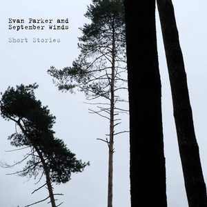 Short Stories album