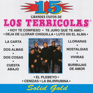 15 Grandes "Solid Gold" album
