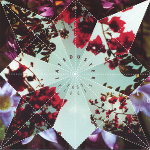 Shaker/Flicker cover