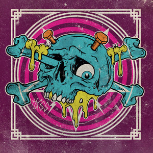 HCSS cover