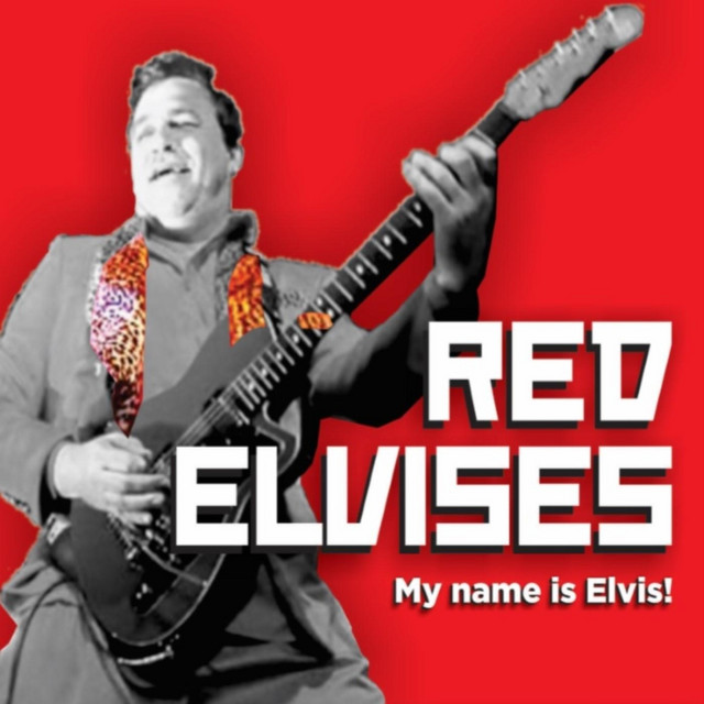 My Name Is Elvis! cover