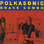 Polkasonic Albumcover