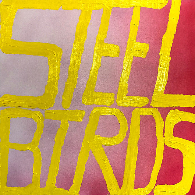 Steel Birds cover