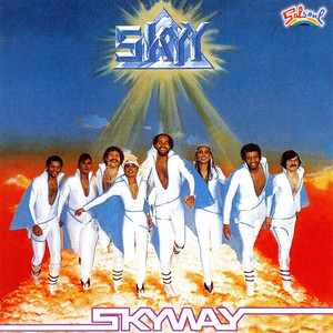 Skyway cover