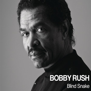 Blind Snake album