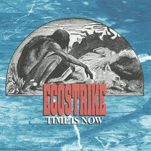 Ecostrike poster