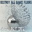 Destroy All Dance Floors Albumcover