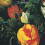 Good cover