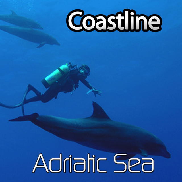 Coastline Photo