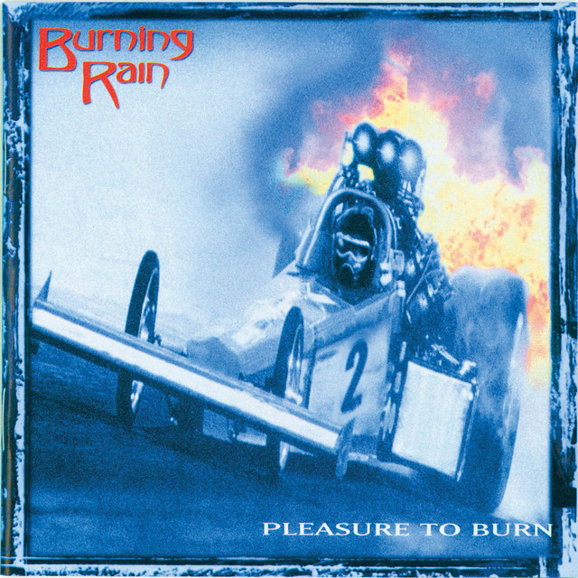 Pleasure To Burn cover