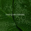 Healing Reiki Melodies Albumcover