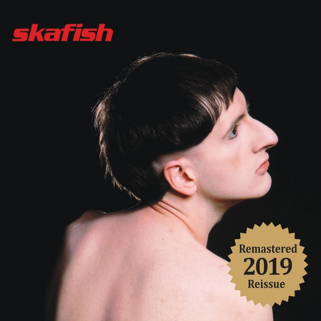 Skafish cover