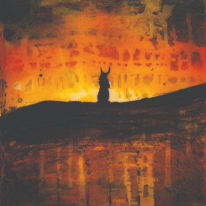 Amygdala cover