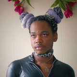 Shamir profile