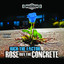 Rose Out the Concrete cover