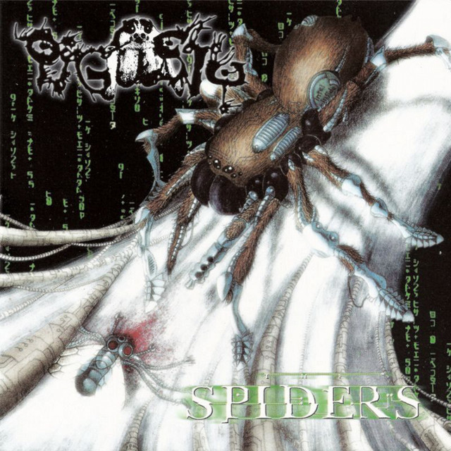 Spiders cover