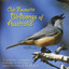 Our Favorite Birdsongs of Australia Albumcover