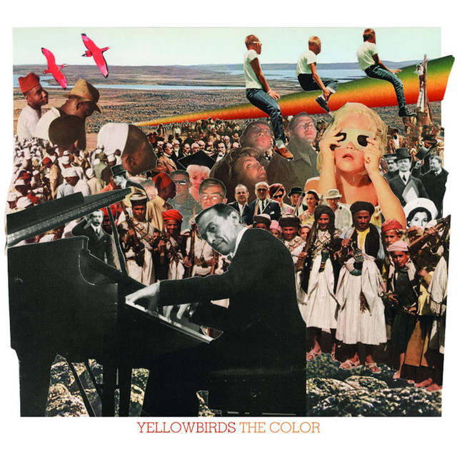 The Color cover