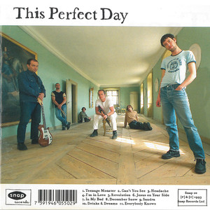 This Perfect Day album