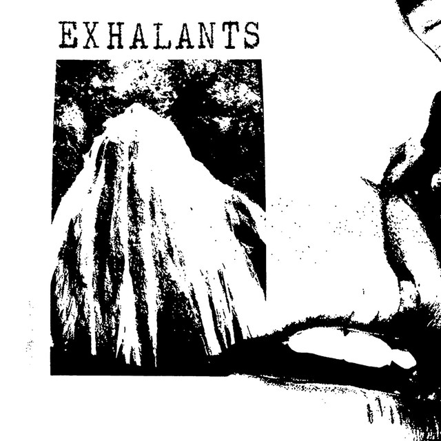 Exhalants Photo