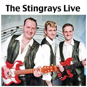 The Stingrays Live Albumcover