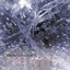 InnerZone cover