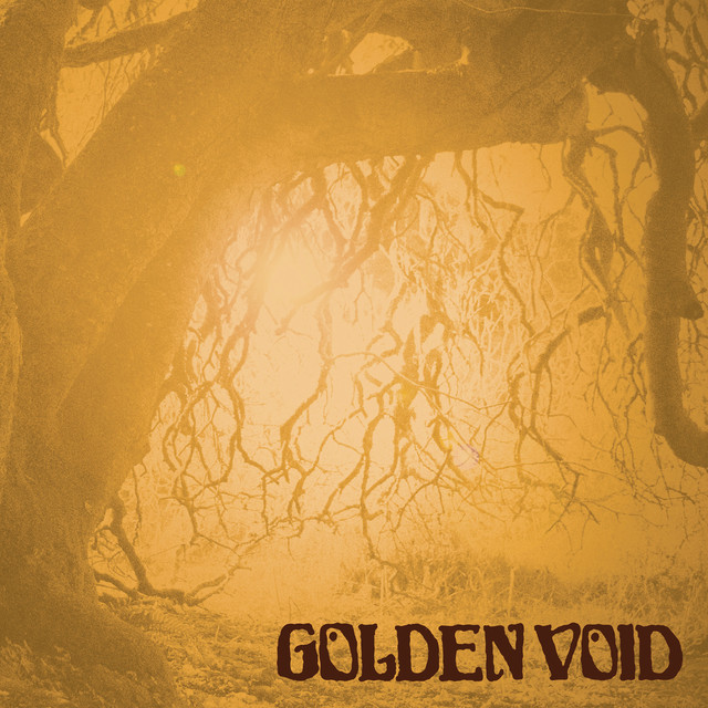 Golden Void cover