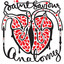 Anatomy cover