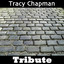 A Revolution: Tribute to Tracy Chapman Albumcover