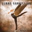 Arabesque Albumcover