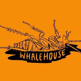 WHALEHOUSE Photo