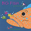 Big Fish Little Fish Albumcover