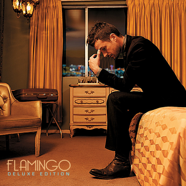 Flamingo cover